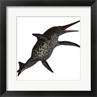 Framed Shonisaurus, a prehistoric ichthyosaur from the Triassic period