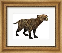 Framed Illustration of a Smilodon Cat from the Cenozoic Era