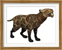 Framed Illustration of a Smilodon Cat from the Cenozoic Era