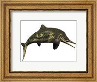Framed Stenopterygius was an ichthyosaur from the Jurassic Period