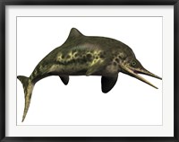 Framed Stenopterygius was an ichthyosaur from the Jurassic Period