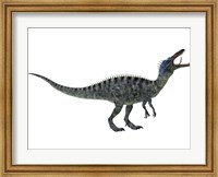 Framed Suchomimus, a large dinosaur from the Cretaceous Period