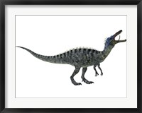 Framed Suchomimus, a large dinosaur from the Cretaceous Period