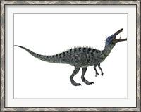 Framed Suchomimus, a large dinosaur from the Cretaceous Period