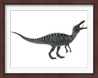 Framed Suchomimus, a large dinosaur from the Cretaceous Period