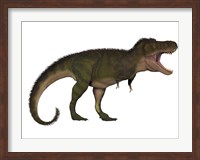 Framed Tyranosaurus Rex, a carnivore of the Cretaceous Period