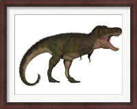 Framed Tyranosaurus Rex, a carnivore of the Cretaceous Period