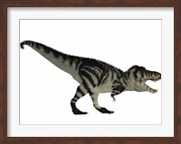 Framed Tyranosaurus Rex, a large carnivore of the Cretaceous Period