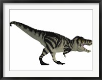 Framed Tyranosaurus Rex, a large carnivore of the Cretaceous Period