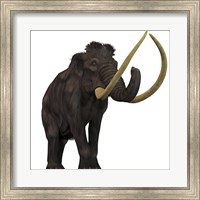 Framed Woolly Mammoth