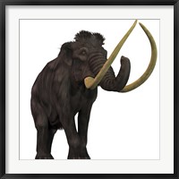 The Woolly Mammoth Framed Print