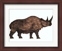 Framed Woolly Rhinoceros, an extinct mammal from the Pleistocene Period