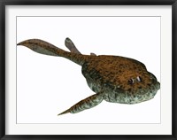 Framed Bothriolepis, a freshwater detritivore from the Devonian Period