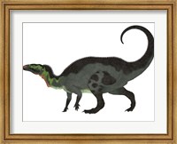 Framed Camptosaurus, a herbivorous dinosaur from the Late Jurassic Period