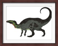 Framed Camptosaurus, a herbivorous dinosaur from the Late Jurassic Period