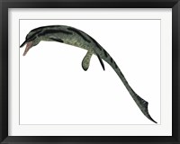 Framed Cymbospondylus, an early ichthyosaur from the Triassic Period
