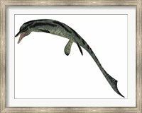 Framed Cymbospondylus, an early ichthyosaur from the Triassic Period