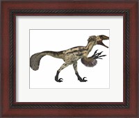 Framed Deinonychus, a carnivorous dinosaur from the early Cretaceous Period