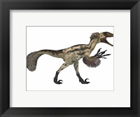 Framed Deinonychus, a carnivorous dinosaur from the early Cretaceous Period
