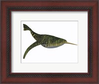 Framed Doryaspis is an extinct genus of primitive jawless fish