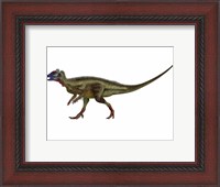 Framed Hypsilophodon is an ornithopod dinosaur from the Cretaceous Period