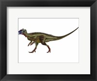 Framed Hypsilophodon is an ornithopod dinosaur from the Cretaceous Period