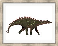 Framed Miragaia is a genus of stegosaurid dinosaur