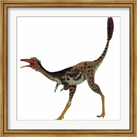 Framed Mononykus, a theropod dinosaur from the late Cretaceous