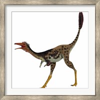 Framed Mononykus, a theropod dinosaur from the late Cretaceous