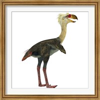 Framed Phorusrhacos, an extinct genus of flightless predatory birds