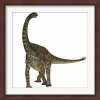 Framed Spinophorosaurus is a sauropod dinosaur from the Jurassic Period