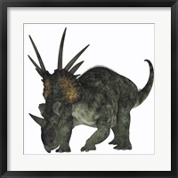 Framed Styracosaurus, a herbivorous ceratopsian dinosaur