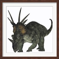 Framed Styracosaurus, a herbivorous ceratopsian dinosaur