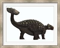 Framed Ankylosaurus, a heavily armored dinosaur from the Cretaceous Period