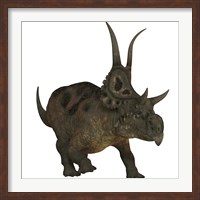 Framed Diabloceratops, a herbivorous dinosaur from the Cretaceous Period