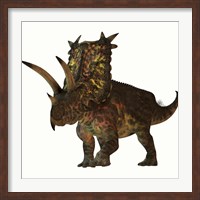 Framed Pentaceratops, a herbivorous dinosaur from the Cretaceous Period