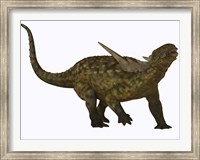 Framed Sauropelta, a herbivorous dinosaur from the Cretaceous Period
