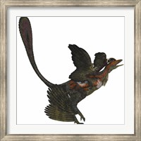 Framed Microraptor, an extinct small flying dinosaur from the Cretaceous Period