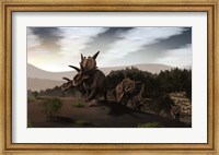 Framed Herd of Xenoceratops foremostensis from the Cretaceous Period