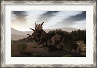 Framed Herd of Xenoceratops foremostensis from the Cretaceous Period