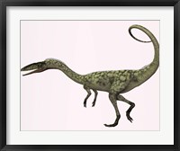 Framed Coelophysis bauri dinosaur from the Triassic Period
