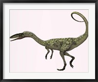 Framed Coelophysis bauri dinosaur from the Triassic Period