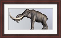 Framed Profile view of Columbian Mammoth