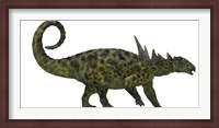 Framed Sauropelta was a heavily armored dinosaur from the Cretaceous Period