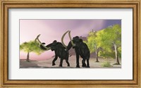 Framed Two Woolly Mammoths searching for better vegetation to eat