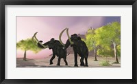 Framed Two Woolly Mammoths searching for better vegetation to eat