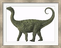 Framed juvenile Saltasaurus sauropod dinosaur of the Cretaceous Period