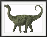 Framed juvenile Saltasaurus sauropod dinosaur of the Cretaceous Period