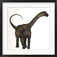 Framed Antarctosaurus dinosaur from the Cretaceous Period
