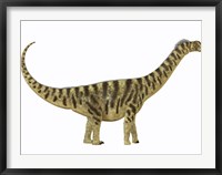 Framed Camarasaurus was a sauropod dinosaur that lived during the Jurassic Age
